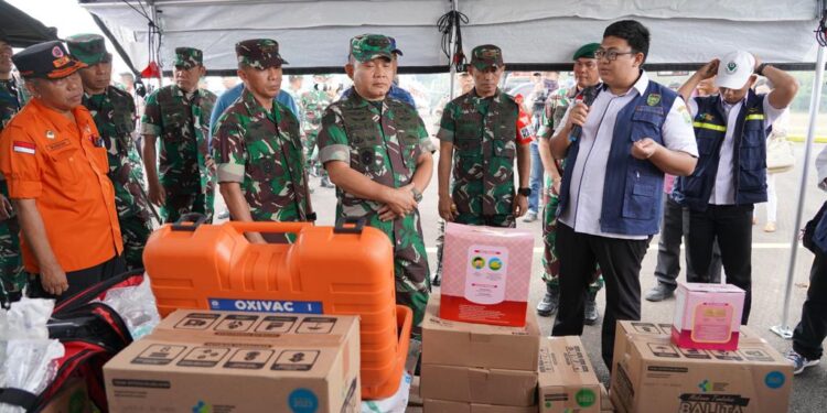 Kebakaran Hutan dan Lahan: Jenderal Dudung Abdurachman Cek Penanganan Karhutla di Sumsel