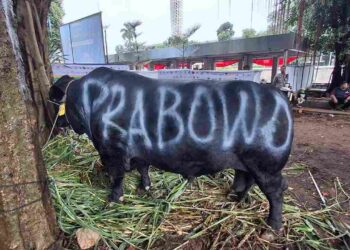 Partai Gerindra Salurkan Ratusan Hewan Kurban ke Masyarakat, Habaib, Ulama, Masjid, dan Mushola