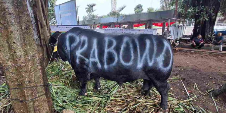 Partai Gerindra Salurkan Ratusan Hewan Kurban ke Masyarakat, Habaib, Ulama, Masjid, dan Mushola