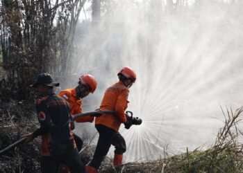 BPBD Jambi Perkuat Satgas Darat dan Water Bombing Hadapi Ancaman Karhutla di Puncak Kemarau