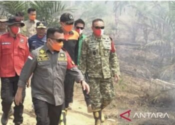 Satgas Karhutla Jambi Kerahkan Dua Helikopter Water Bombing Padamkan Api di Tahura STS